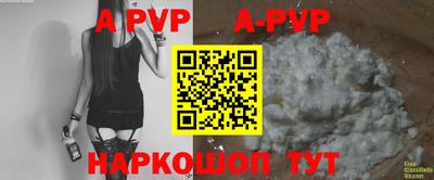 крисы Тайшет