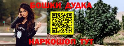 крисы Тайшет