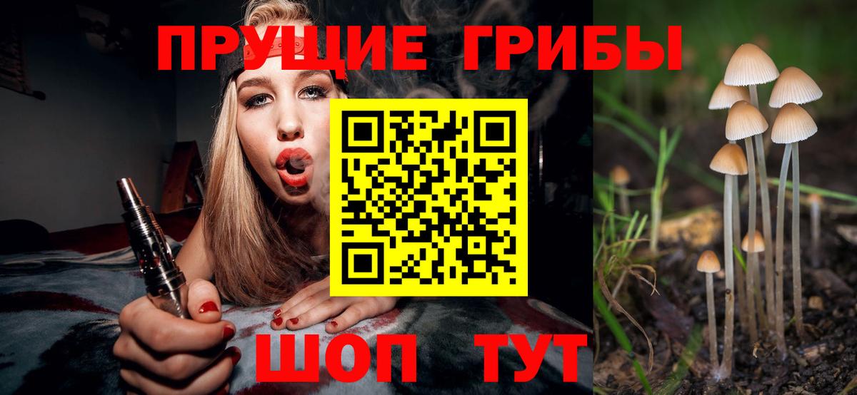 Псилоцибиновые грибы GOLDEN TEACHER Нерюнгри