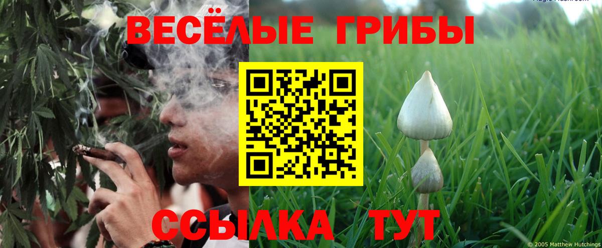 Нерюнгри  Галлюциногенные грибы ЛСД  Вход с VPN 